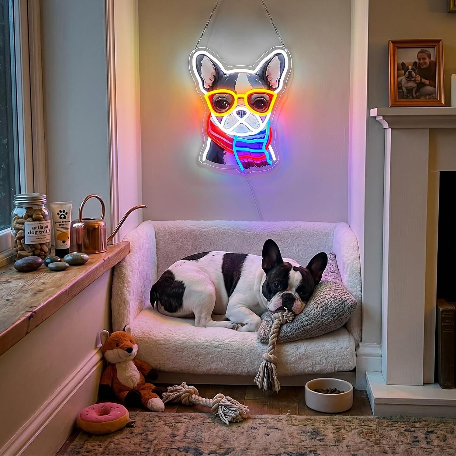 French Bulldog Neon Sign Dimma - Men'S Grooming Dc recension och pris